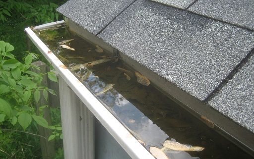 Gutter Cleaning