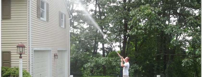 Siding Cleaning