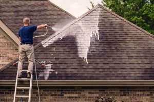 commercial roof cleaning service