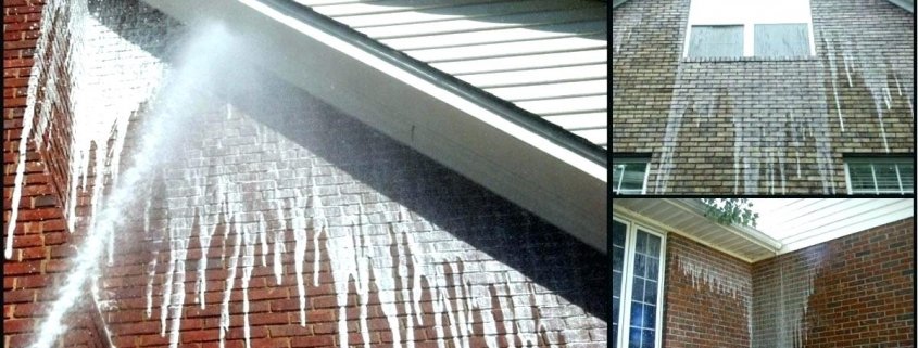 exterior cleaning services