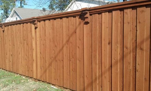 Fence Staining & Restoration