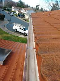 DO You Need A Professional Gutter Cleaning services?