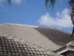 Roof Cleaning Service Rockford