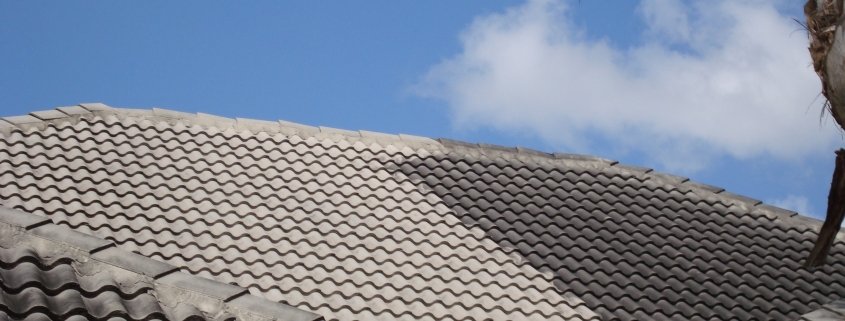 Roof Cleaning Service Rockford