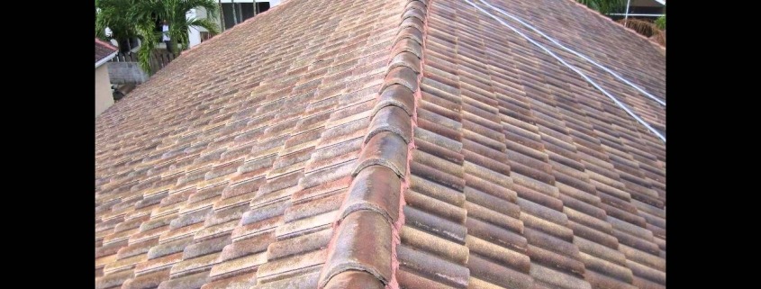 Chemical Roof Tile Cleaning