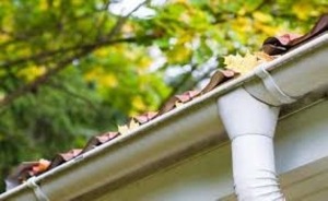 Gutter Cleaning