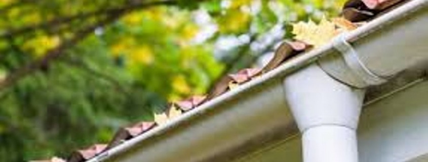 Gutter Cleaning