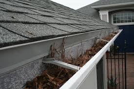 Gutter Cleaning service Rockford