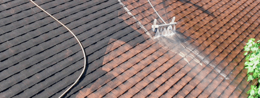 affordable roof cleaning service