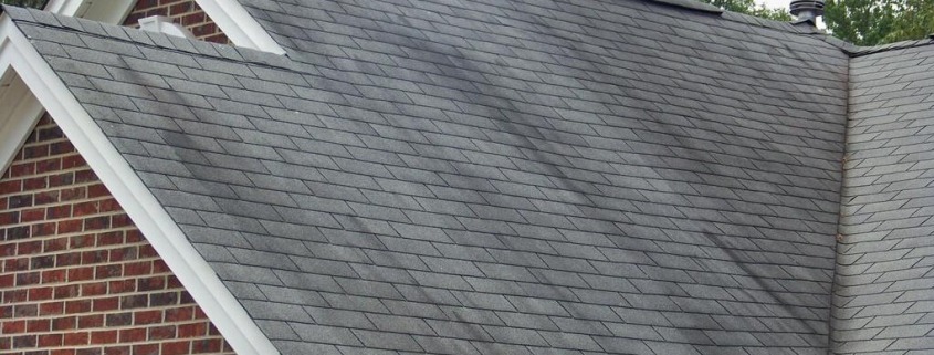 roof stain