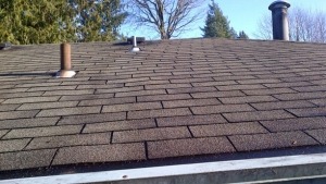 Roof Stain Removal Rockford