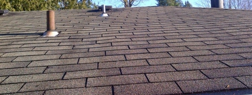 Roof Stain Removal Rockford