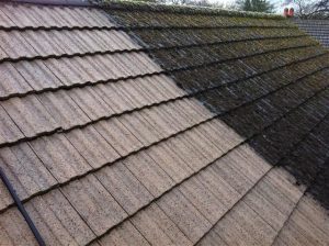 roof stain removal