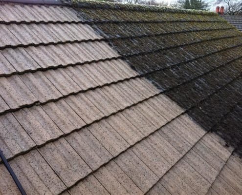 roof stain removal
