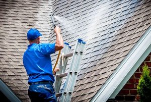 Low Pressure Roof Cleaning Illinois