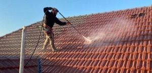 Commercial Roof Cleaning Services Northern IL
