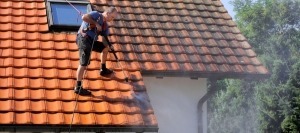 Low Pressure House/Roof Cleaning