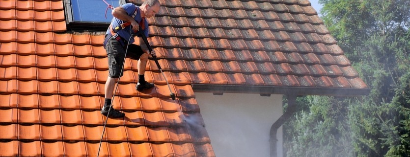 Low Pressure House/Roof Cleaning